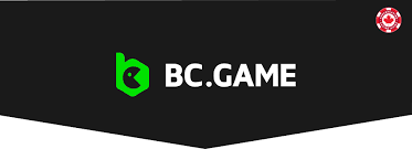 Discover the Thrills of BC.Game An Innovative Online Casino Platform